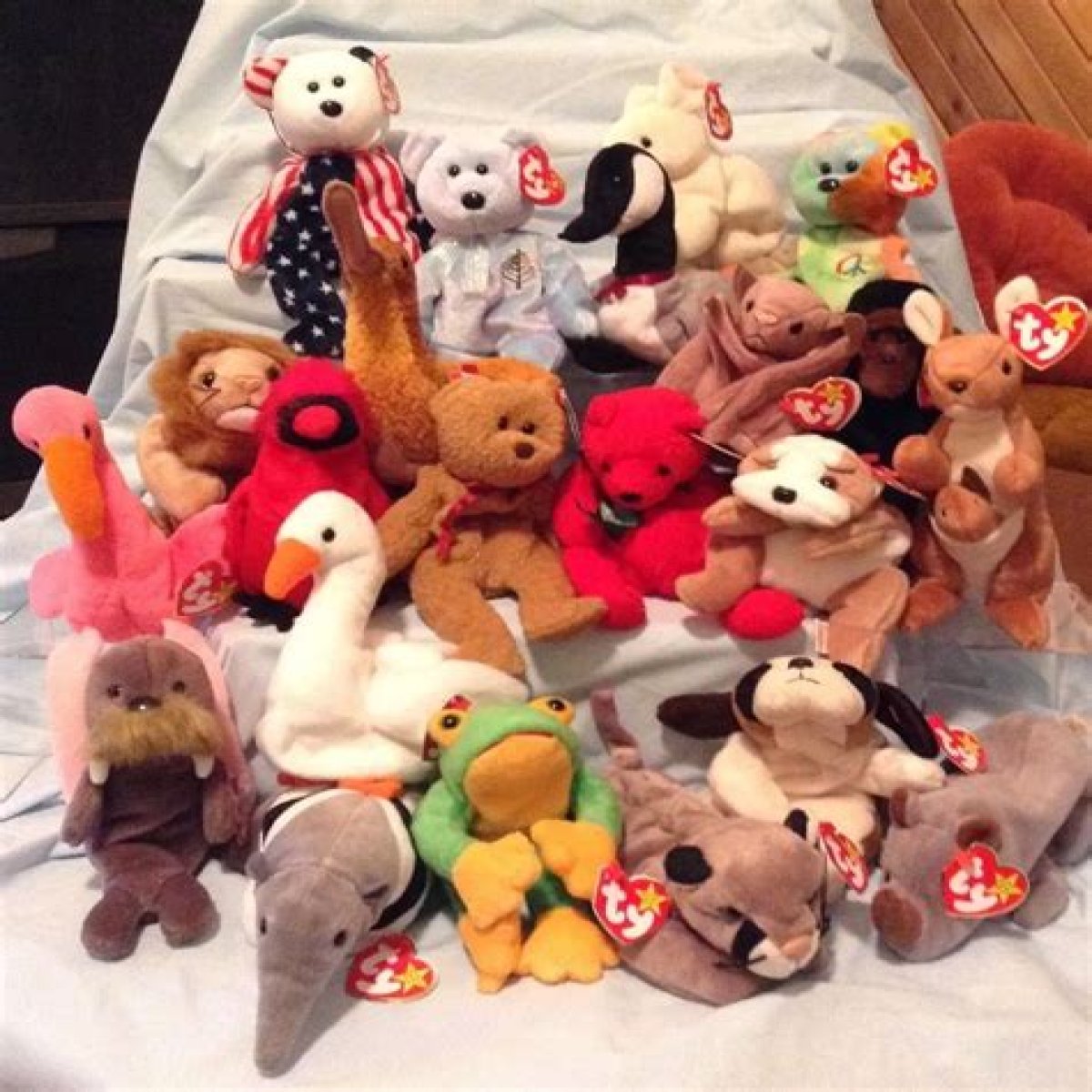 Complete Guide To Beanie Babies Without Tags: Discover Their Value And Rarity