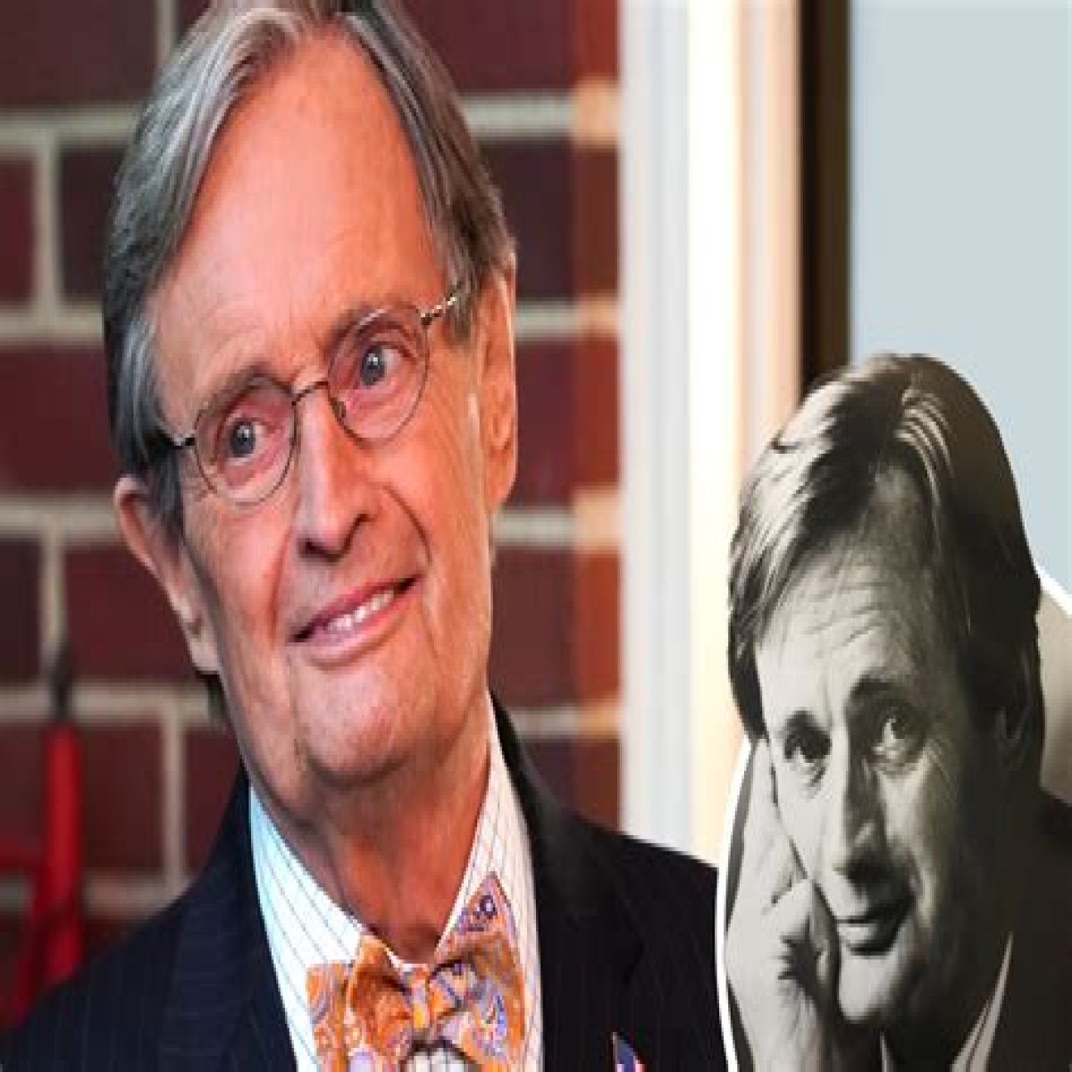 David Mccallum Net Worth: What Is Ducky Mallard Net Worth?