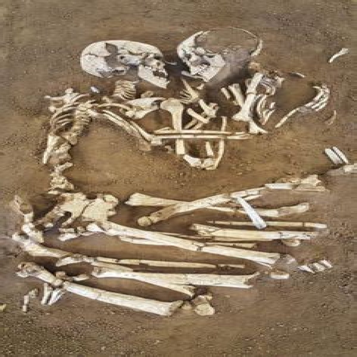 The Story Behind The Lovers Of Valdaro, The 6,000-Year-Old Skeletons Found Buried In An Eternal Embrace