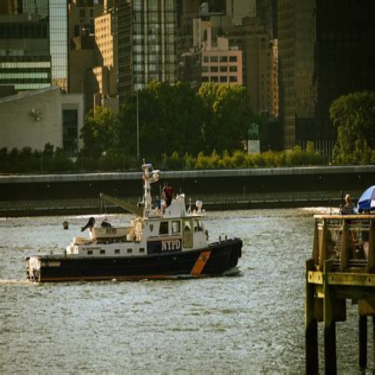 Unveiling The Brooklyn Queen: A Majestic Destination